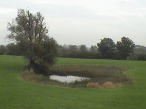 IJsselvallei