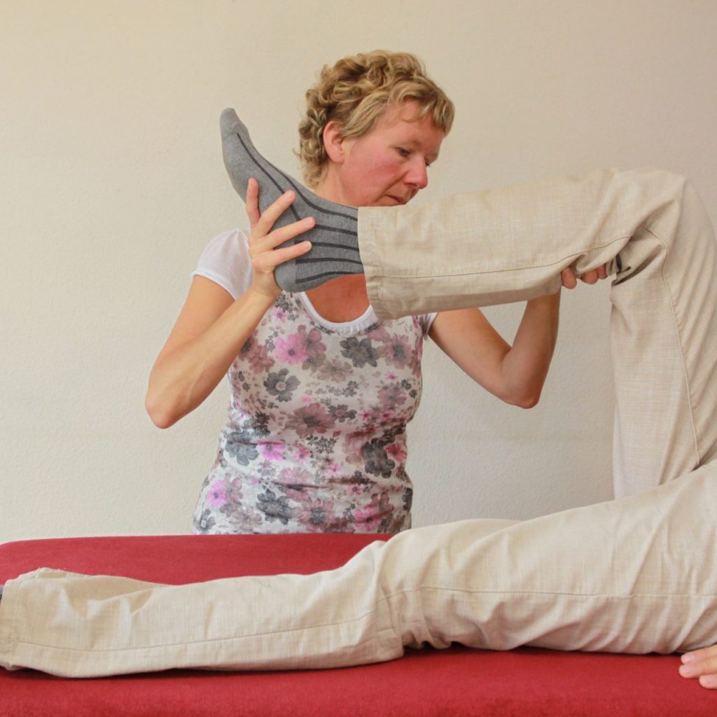 Holistic pulsing - Homestay Dreamtime