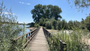Natuurwandelpad Ossenwaard