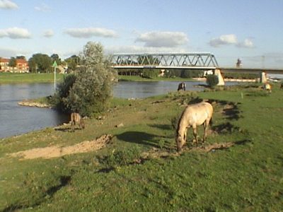 IJsselbrug IJsselbrug